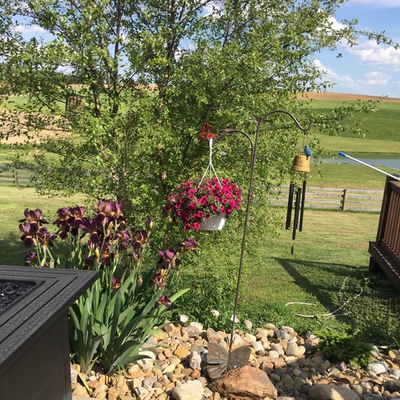 Meet your Posher, Laura - Picture 2 of 7